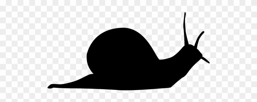 View All Images-1 - フリー 素材 カタツムリ Clipart