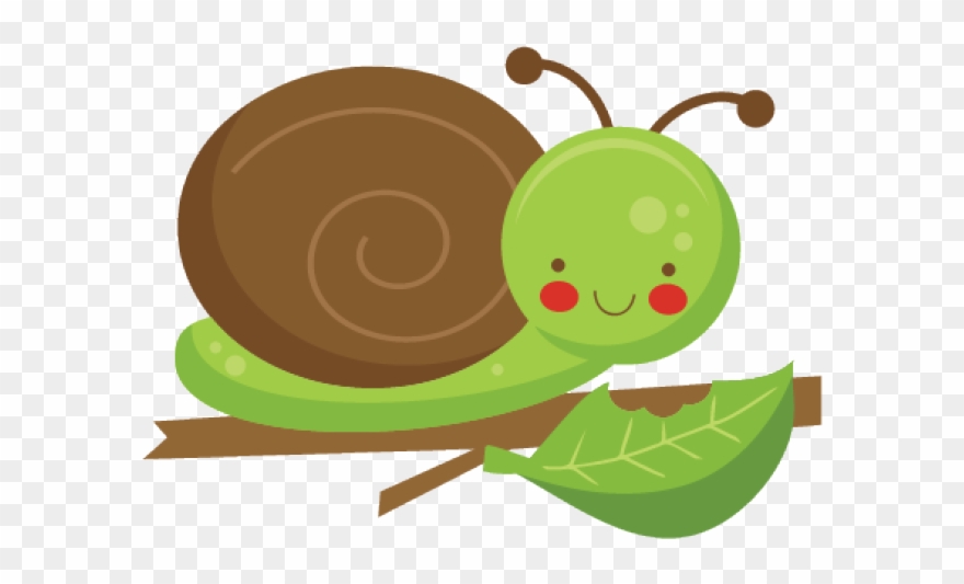 Original - Clipart Snail On A Leaf - Png Download