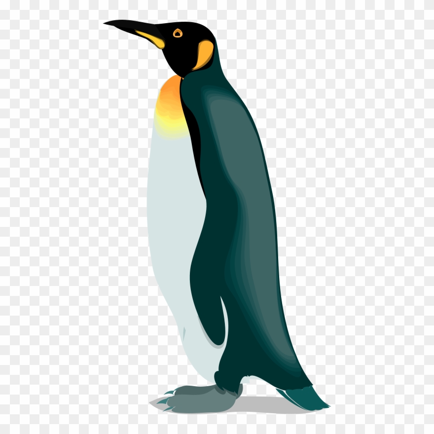 The Emperor Penguins Gentoo Penguin - Realistic Penguin Clipart - Png Download