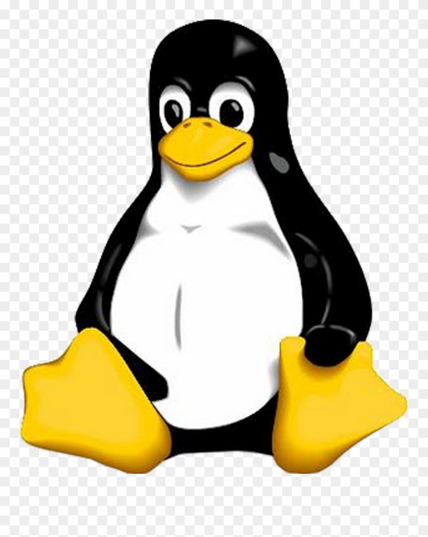 Penguin Image - Linux Logo Png Clipart