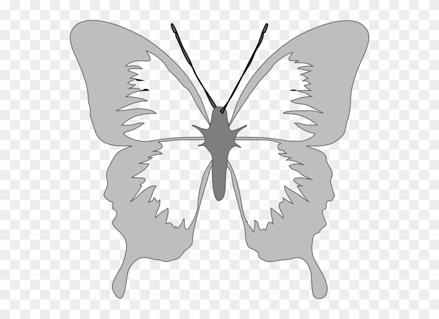 Butterfly Clip Art - Png Download