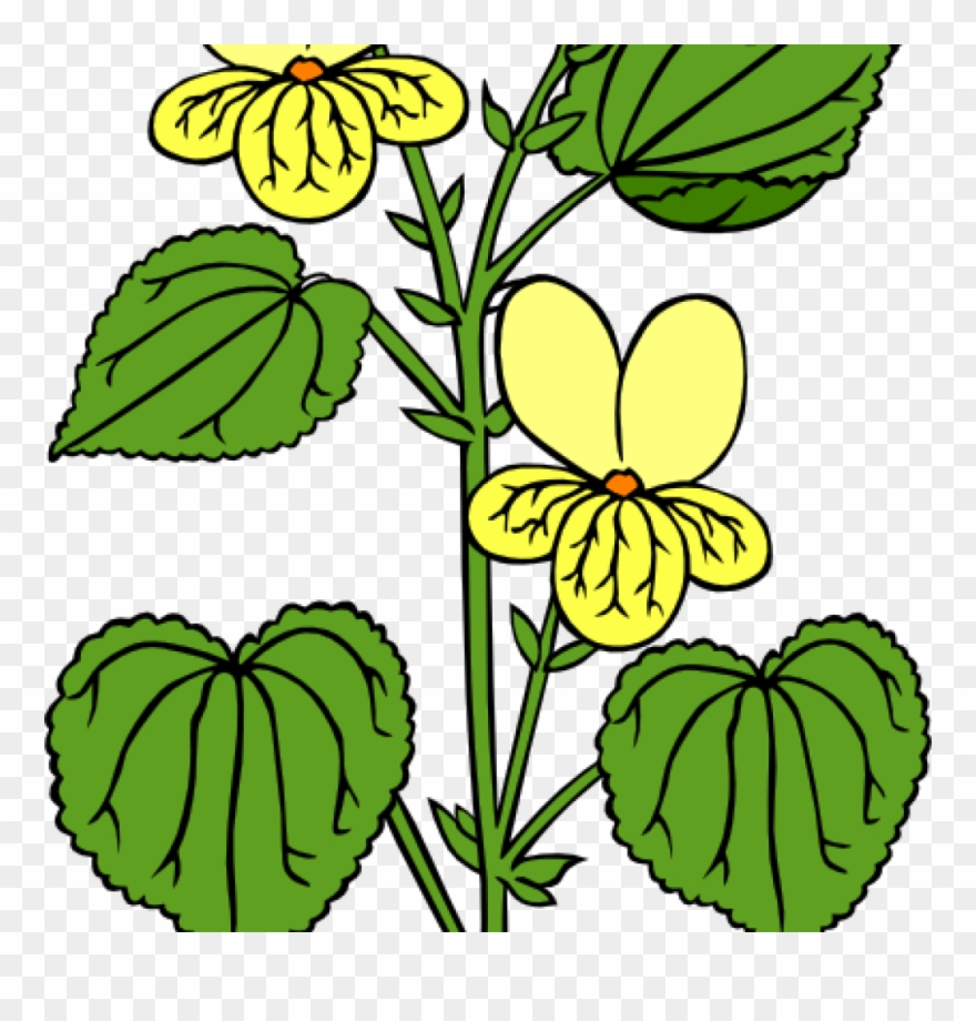 Free Clipart Plants Plants Clip Art Free Clipart Panda - Clip Art - Png Download