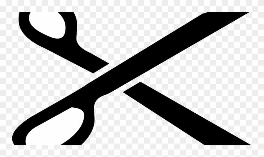 Best Professional Hair Reviews Grooming Tips - Clip Art - Png Download