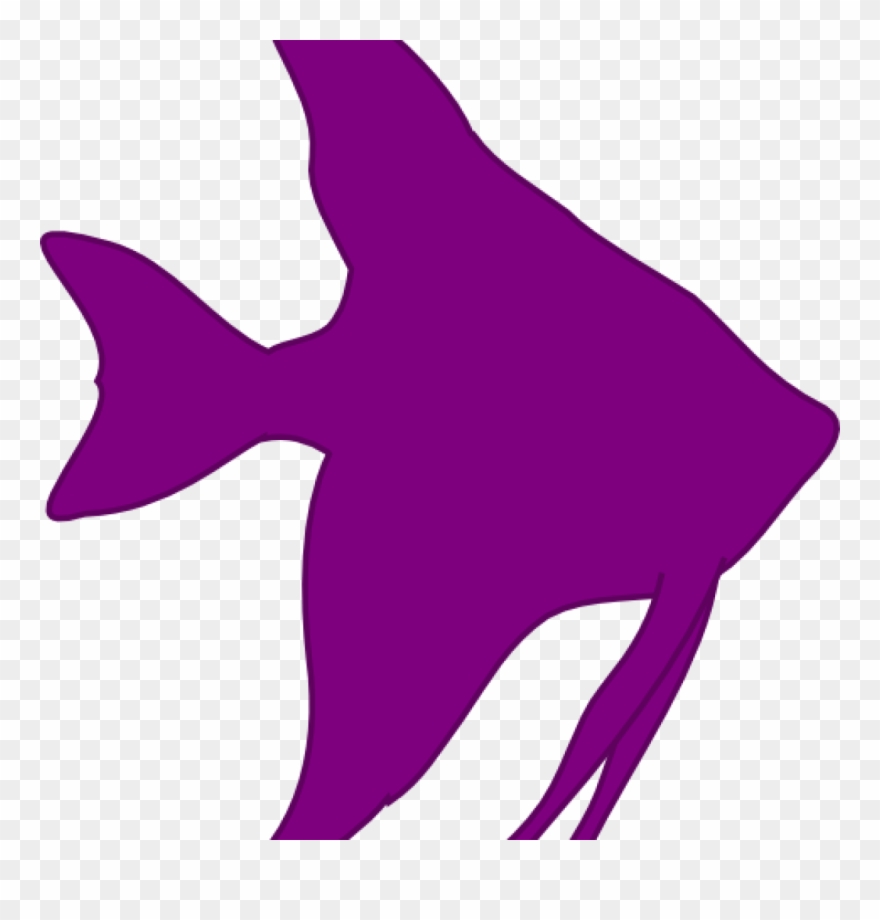 Angelfish Clipart Angelfish Silhouette At Getdrawings - Sea - Png Download