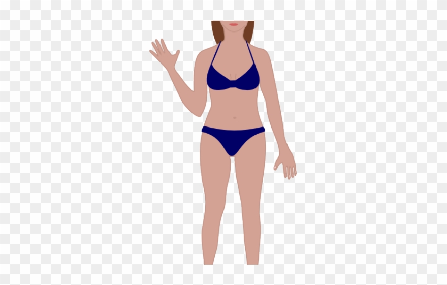 Body Clipart Swimsuit - Erogenous Zones Chart Female - Png Download