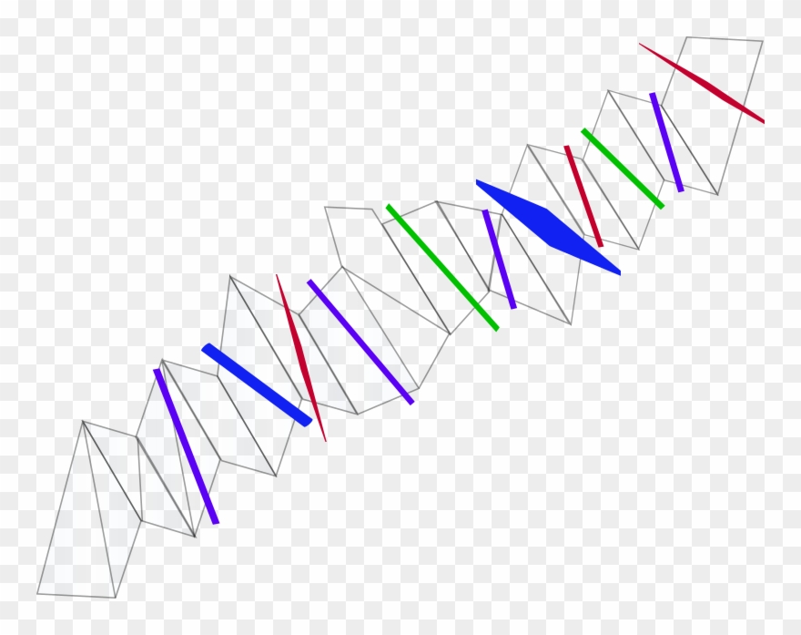 Transit Clipart Free For Download - Photography - Png Download