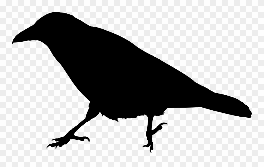 Big Image - Crow Meaning In Hindi Clipart