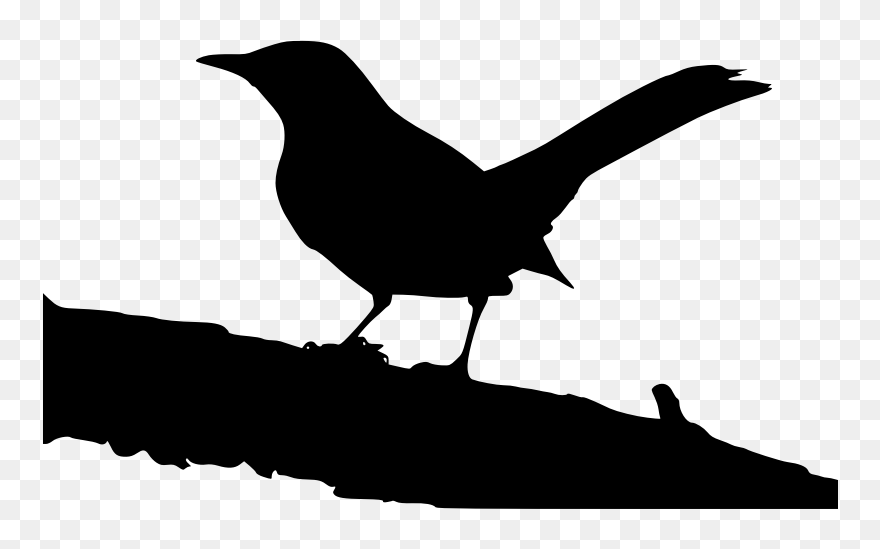Raven Clipart Mockingbird - Mockingbird On A Tree - Png Download