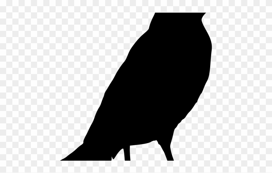 Raven Clipart Baby - Clip Art - Png Download