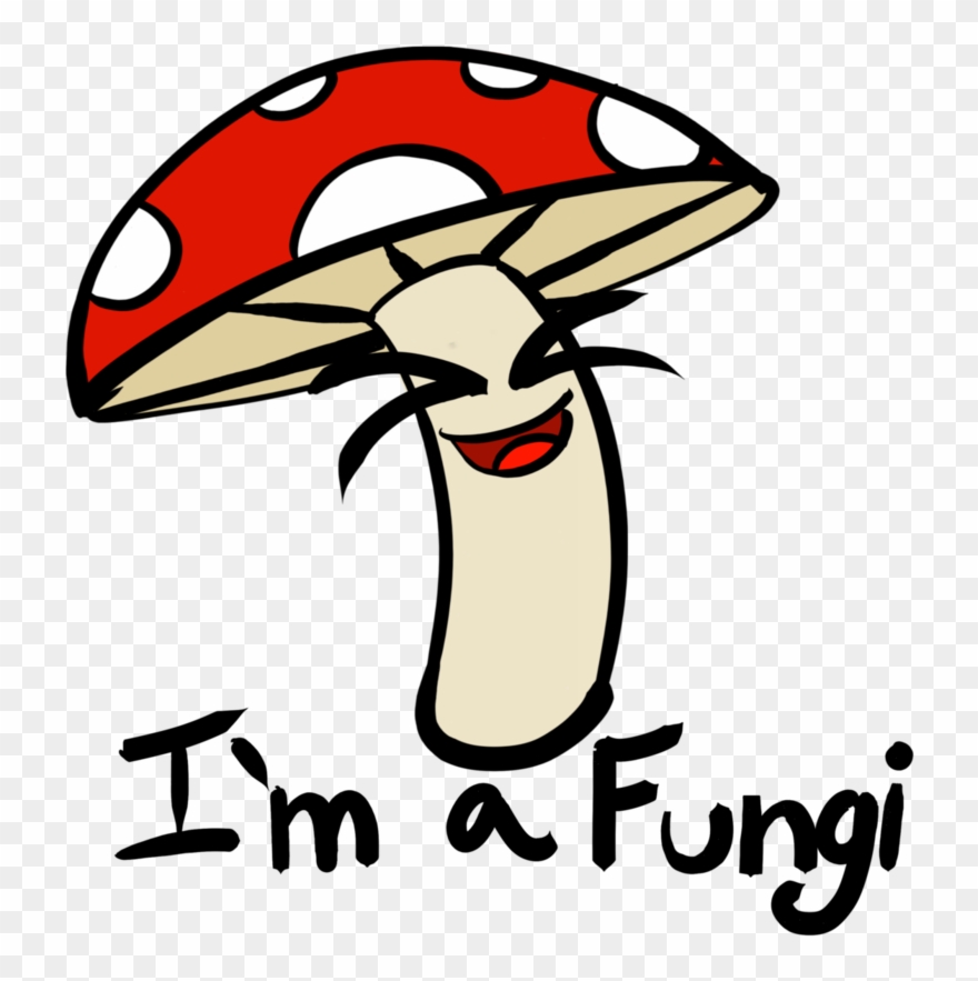 Clip Royalty Free Champagne Drawing Cartoon - Fungi Cartoon Drawing - Png Download