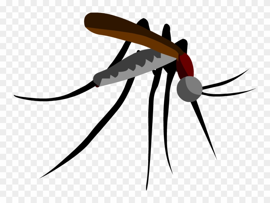 Parasitism Drawing Mosquito Clipart Black And White - Mosquito Cutout - Png Download