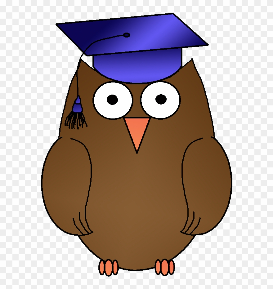 Barred Owl Clipart Barn Owl - Owl - Png Download