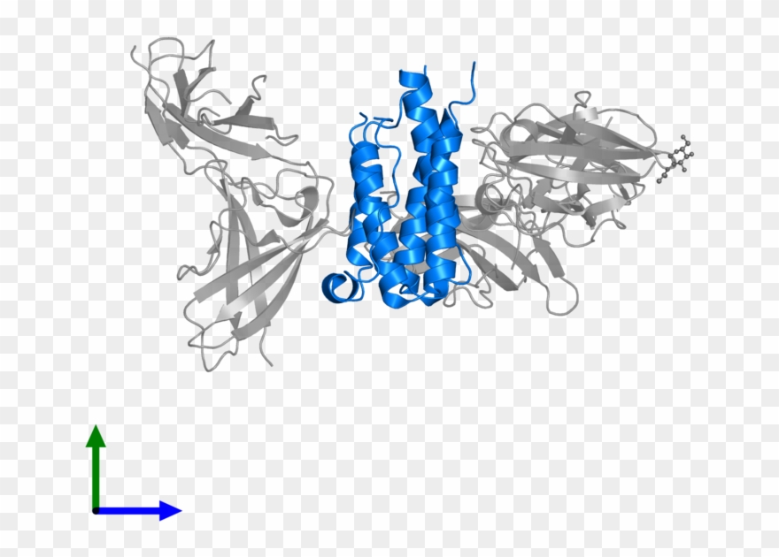 Protein Data Bank Clipart