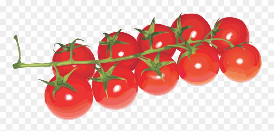 Banner Freeuse Download Cherry Tomato Clipart - Cherry Tomato No Background - Png Download