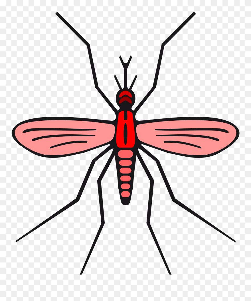 Mosquito Clipart