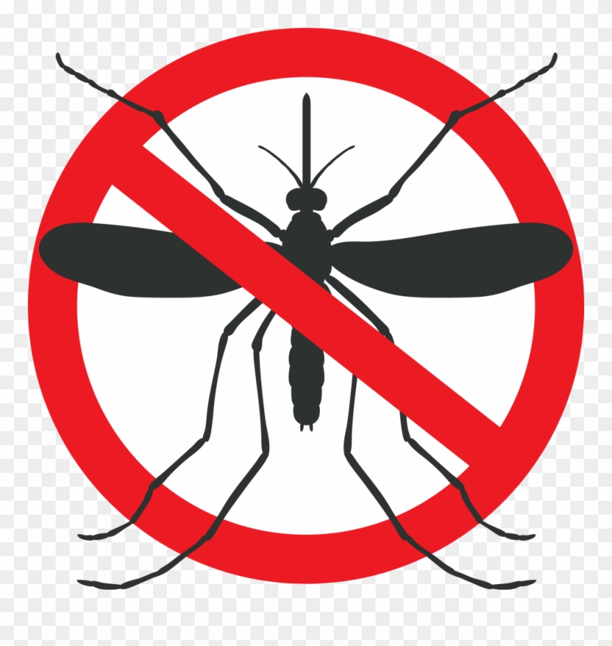Mosquito Graphic - Dengue And Malaria Art Clipart