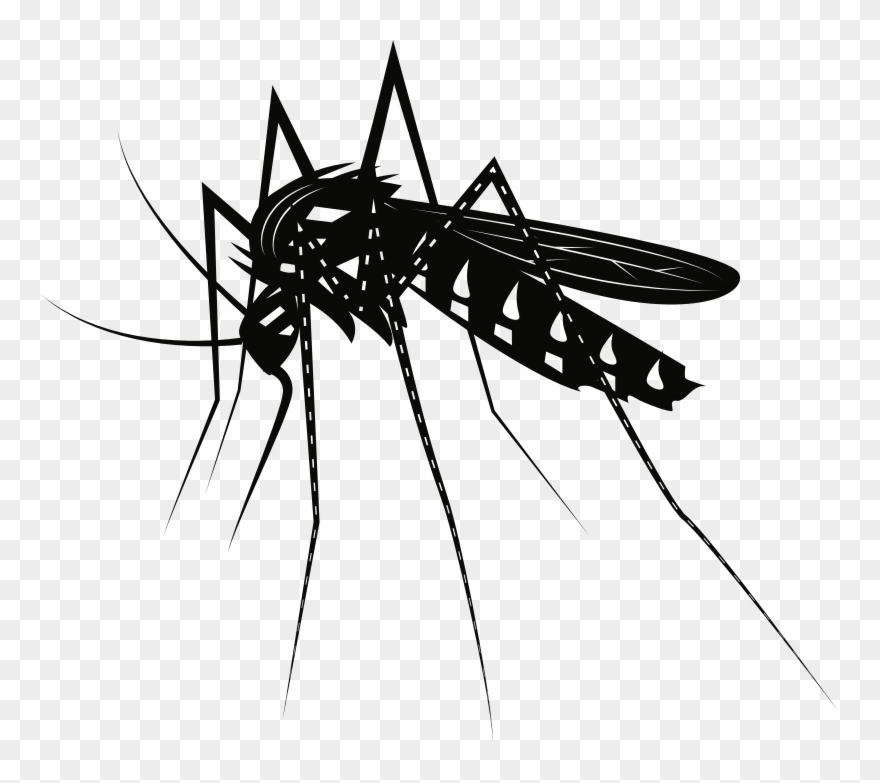 Medium Image - Mosquito Clipart Black And White - Png Download