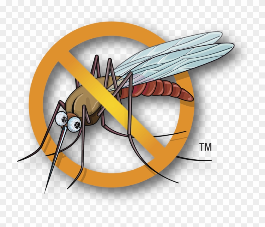 Health Care Tips For Kids - No Mosquito Icon Png Clipart