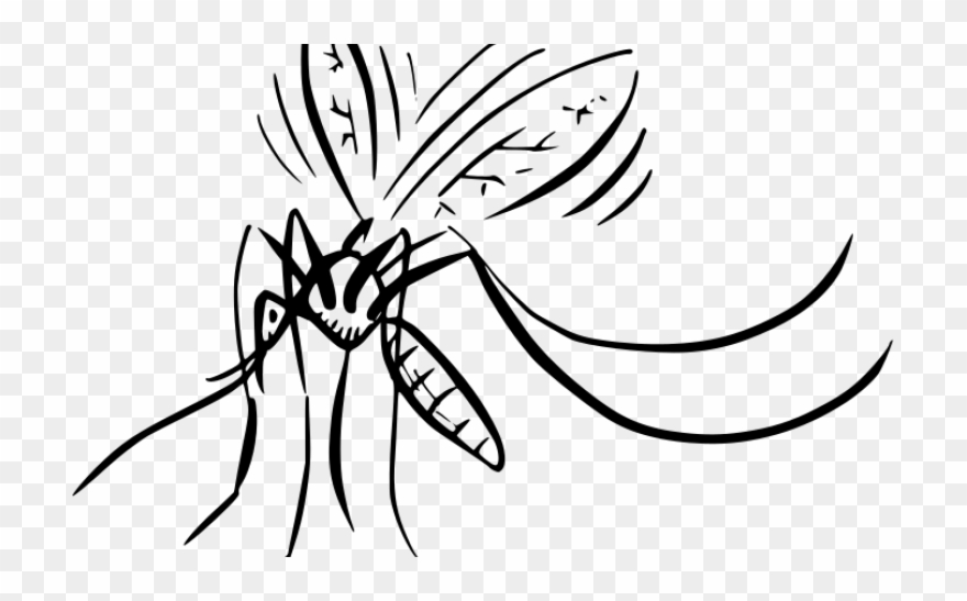 Wikimedia Commons Clipart