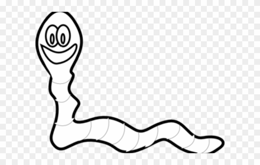 Worms Clipart Worm Head - Outline Of A Worm - Png Download
