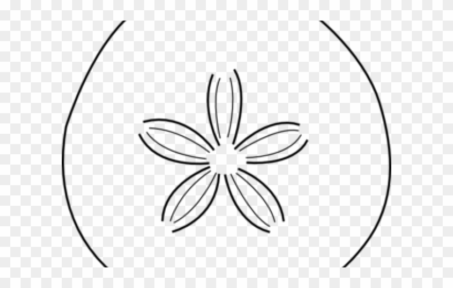 Sand Dollar Clipart - Drawing - Png Download