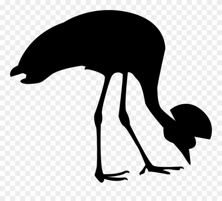 Agriculture Clipart Indian - Crowned Crane Silhouette - Png Download