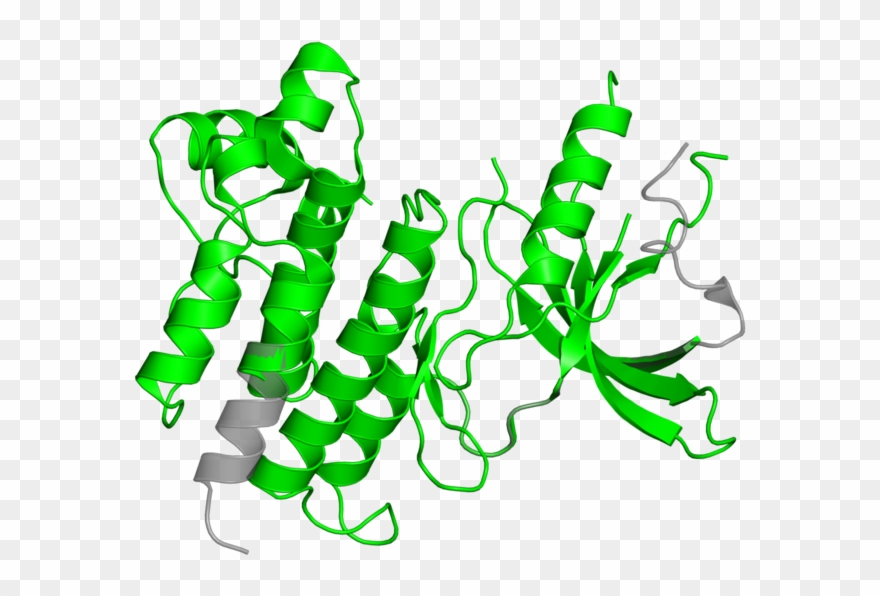 Illustration Clipart