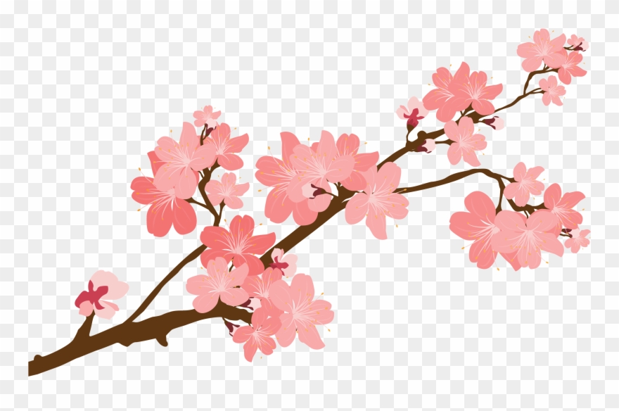 Cherry Blossom Clipart At Getdrawings - Transparent Cherry Blossom Vector - Png Download