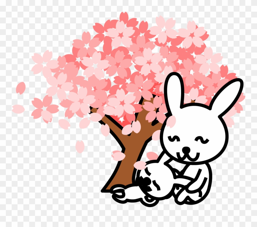Cherry Blossom Clipart At Getdrawings - Rabbit - Png Download