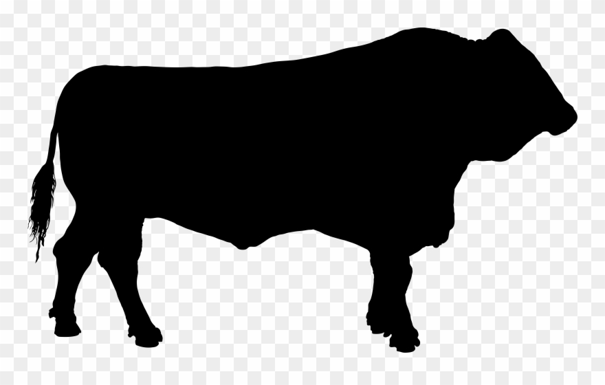 Home Lick Creek Meats Premium Angus Simangus Clipart