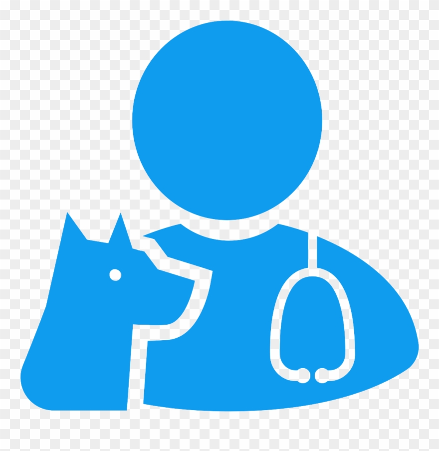 Working With Vetstrategy Strategy Recruitment Career - Veterinary Physician Clipart