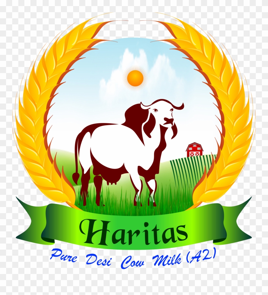 Bull Clipart Gir Cow - Milk - Png Download