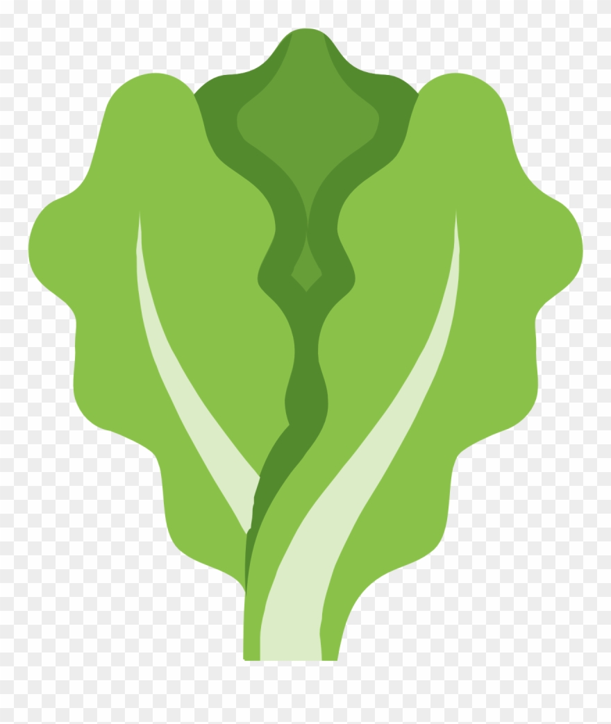 Canadian Cooking Adventures Salads - Lettuce Icon Clipart