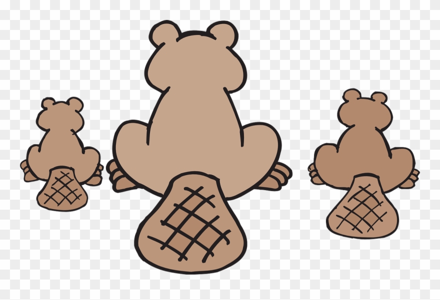 Tail Clipart Vector - Canadian Beaver Throw Blanket - Png Download