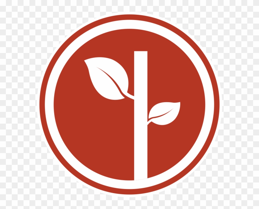 Friendly Brush Title - Tsunami Plumbing & Rooter Clipart