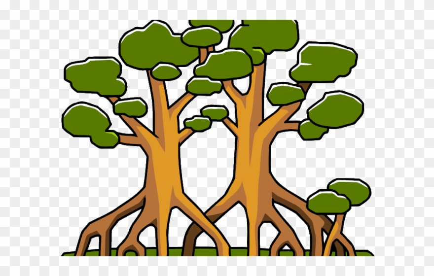 Alligator Clipart Swamp Tree - Mangrove Cartoon - Png Download