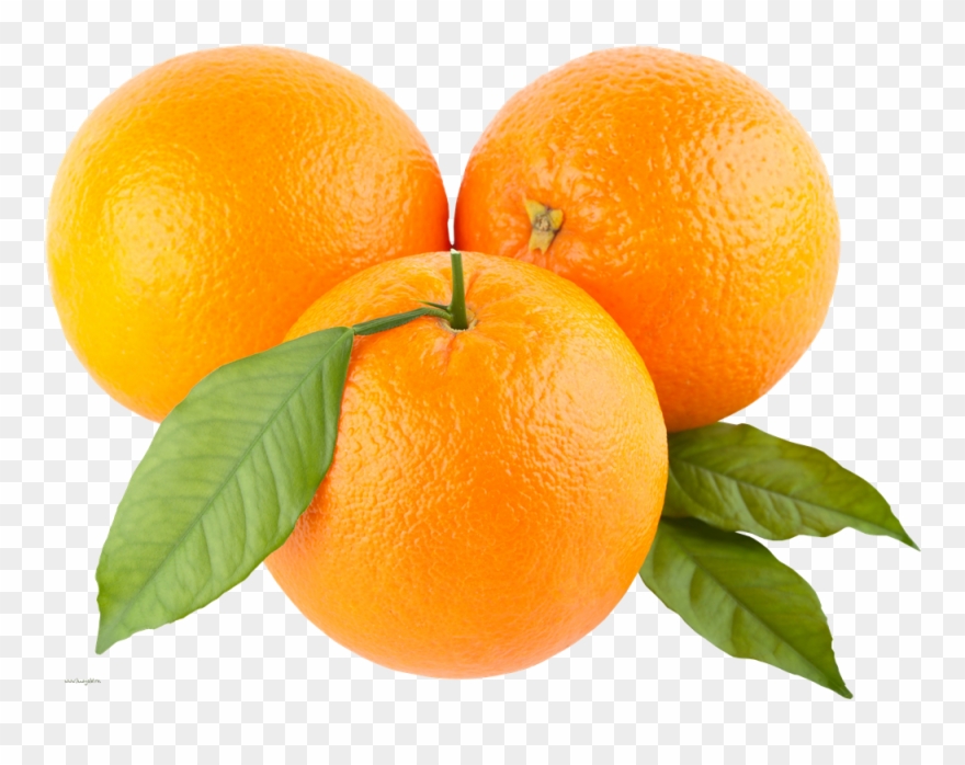 Tangerine Clipart 2 Orange - Juicer Orange Manual Squeezer Lime Lemon Heavy Duty - Png Download