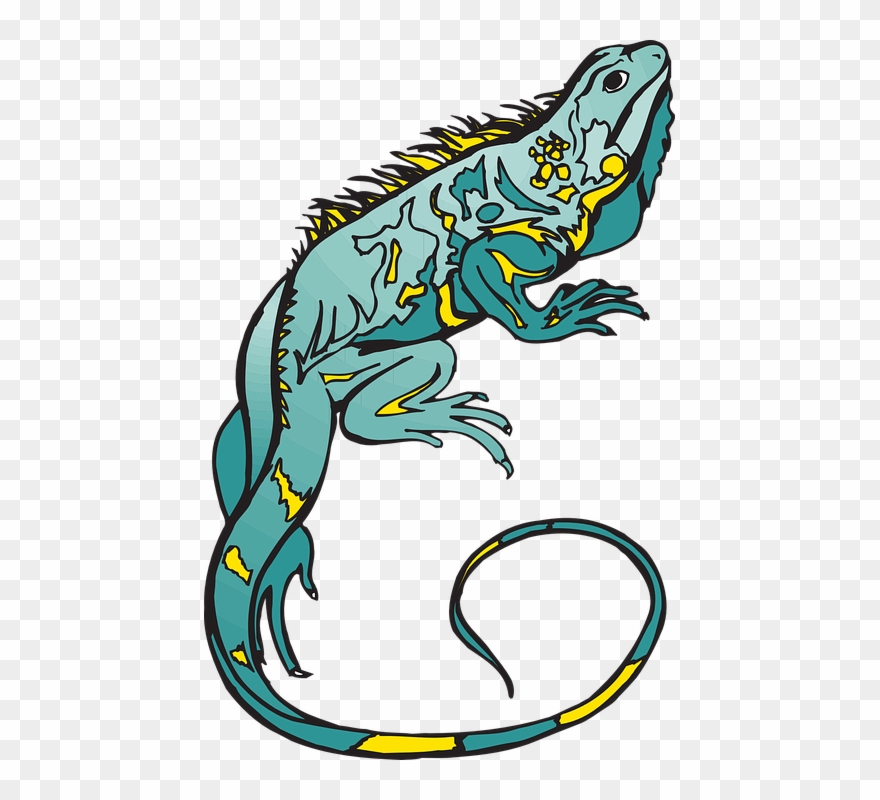Lizard Clipart Curled - Chameleon Clipart Transparent - Png Download