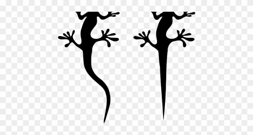 Reptile Clipart Rainforest Lizard - Iguana Dibujo Blanco Y Negro - Png Download