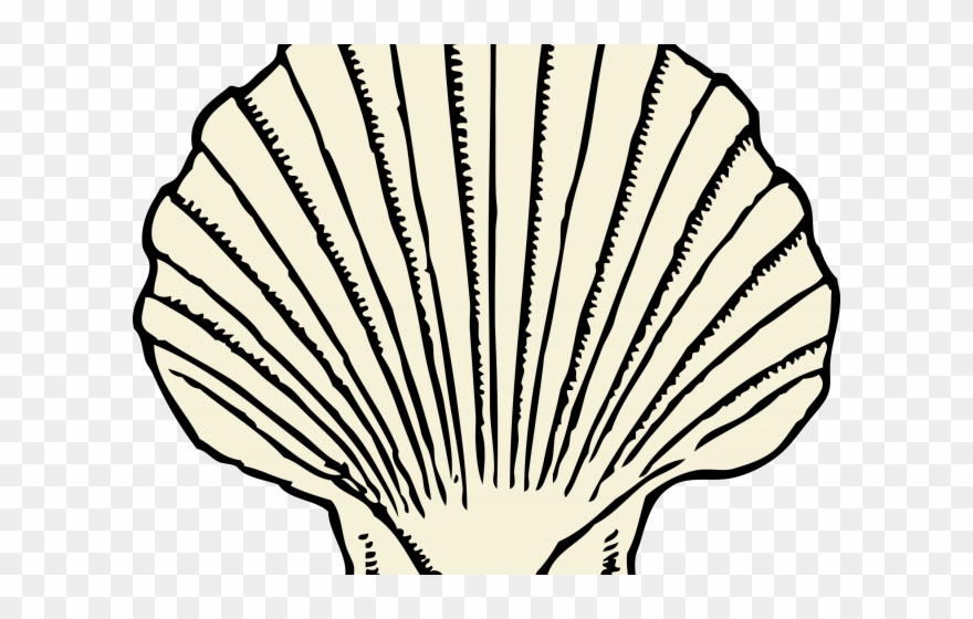 Clams Clipart Kerang - Seashell Clip Art - Png Download