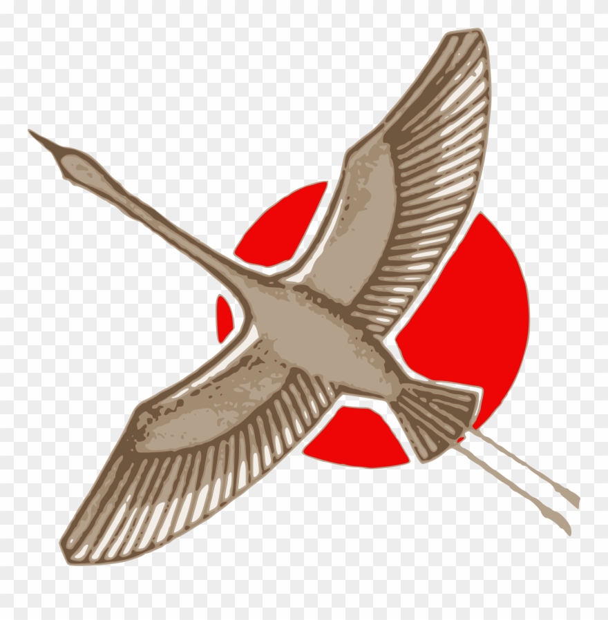 Big Image - Clip Art - Png Download