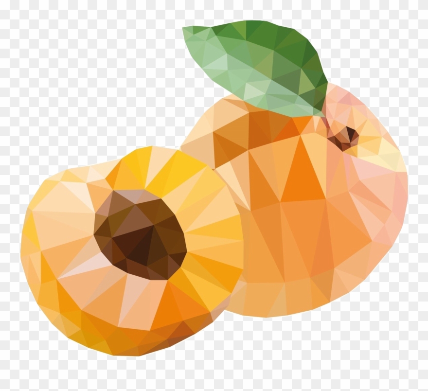 Apricot Stone Clipart
