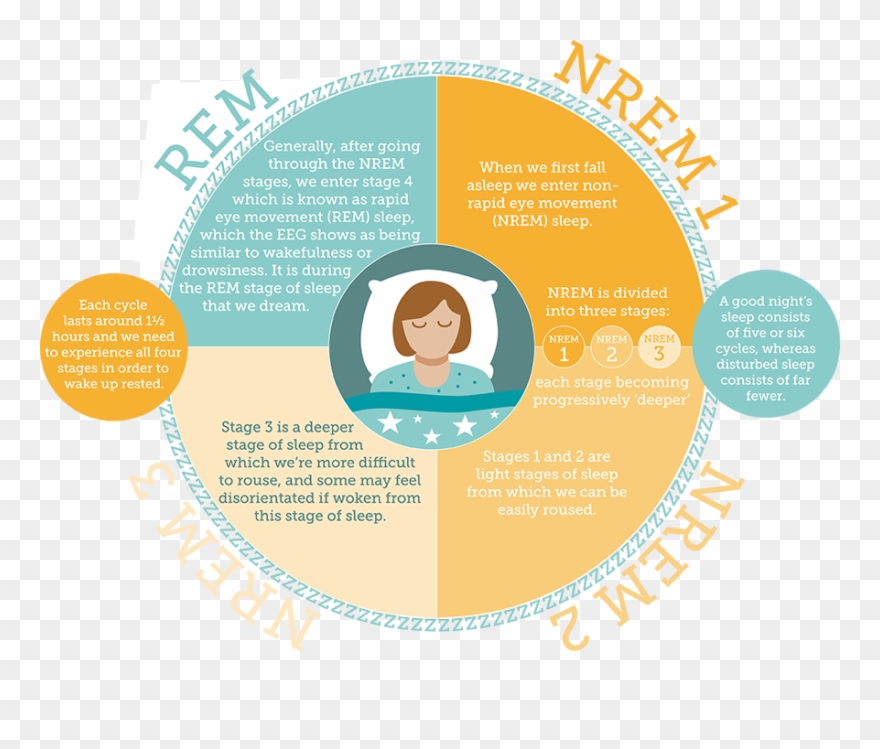 The Sleep Council How Much Sleep Do We Need - Sleep Clipart