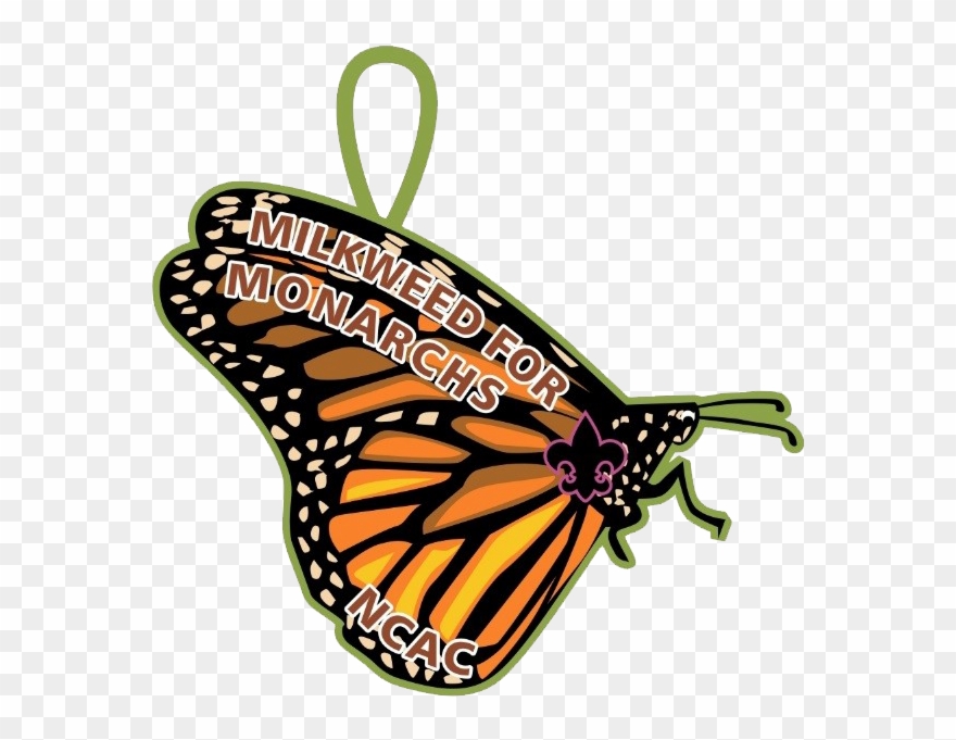 National Capital Area Council - Monarch Butterfly Clipart
