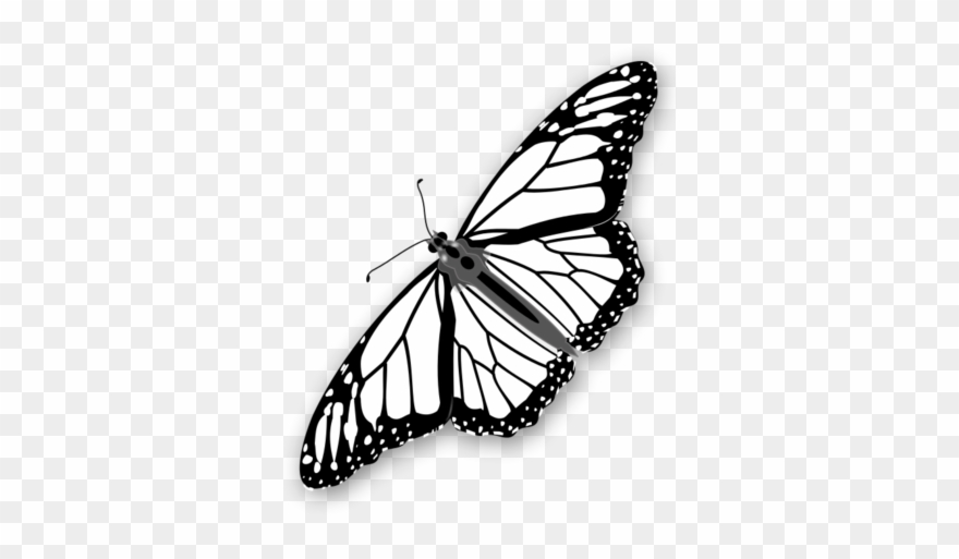 Monarch Butterfly Clipart Stencil - Flying Monarch Butterfly Black And White - Png Download