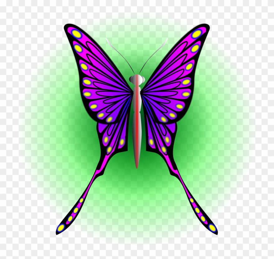 All Photo Png Clipart - Brush-footed Butterflies Transparent Png