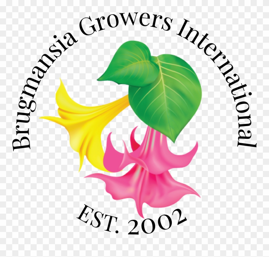 About Bgi Board Members, Advisors, Affiliations - Graphic Design Clipart