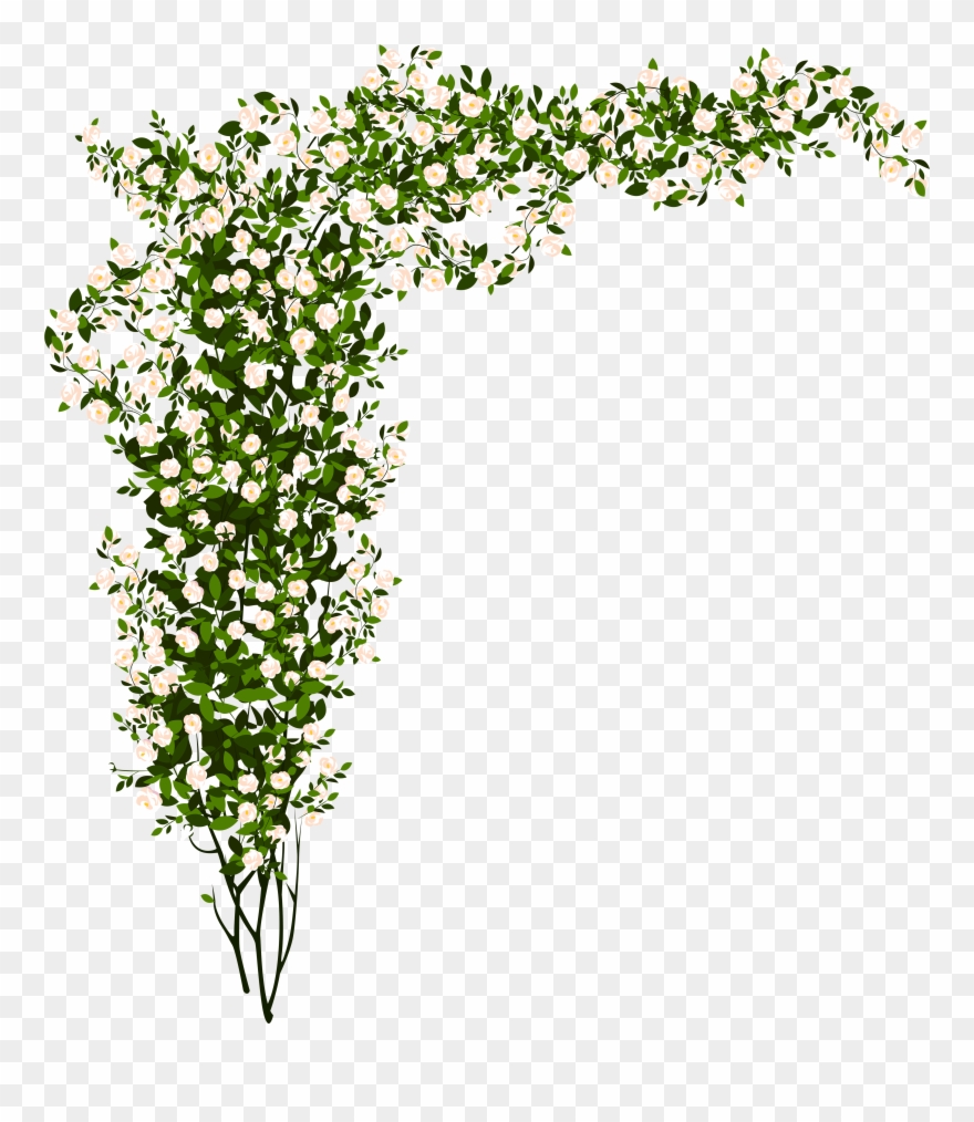 Rose Bush Clip Art Clipart Free Download - White Flower Bush Png Transparent Png