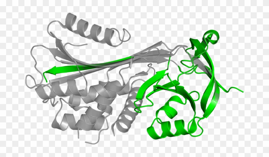 <div Class='caption-body'>1 Copy Of Cath Domain - Graphic Design Clipart
