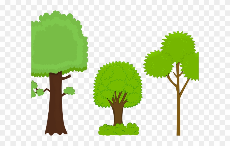 Bushes Clipart Mature Plant - Clip Art - Png Download